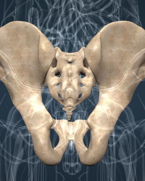 pelvic therapy in new eco physiotherapy pelvic therapy in new eco physiotherapy